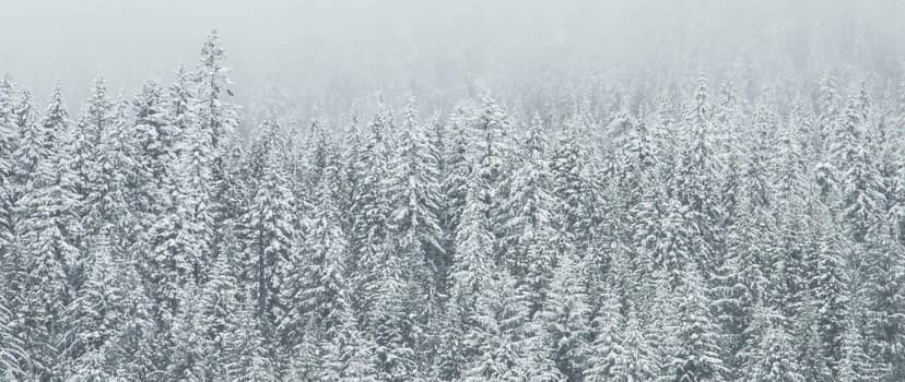 Unauth title ufFKeUTp